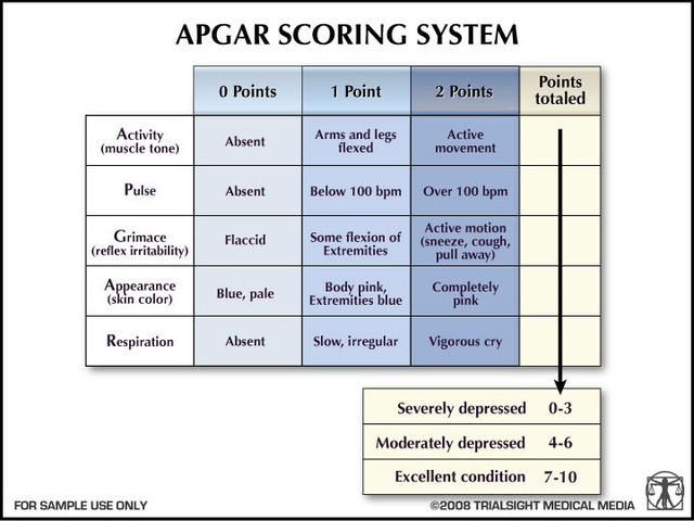 2.4 APGAR