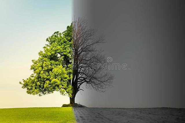 Questão 03. Apenas uma estação.