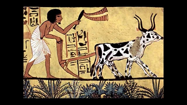 Origenes del comercio internacional