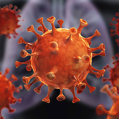 Timeline: Coronavirus dentro del cuerpo