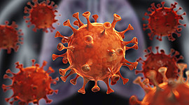 Timeline: Coronavirus dentro del cuerpo