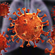 Coronavirus t