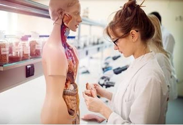 Estudiaré la carrera de medicina en una universidad prestigiosa