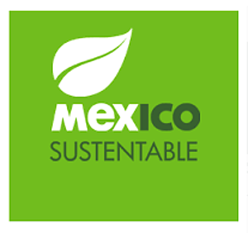 Norma mexicana de responsabilidad social