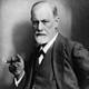 Sigmund freud 9302400 1 402