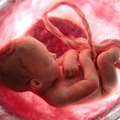 Timeline: Gestação - 21ª semana ao nascimento