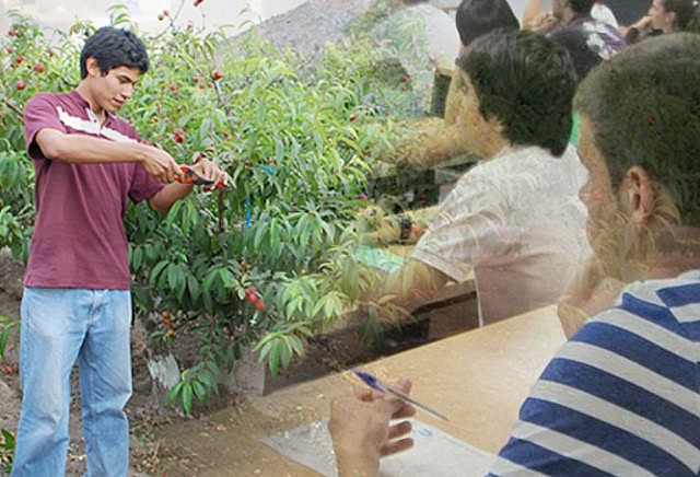 Capacitación para participación campesina