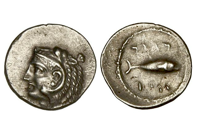 Introduccion de la moneda