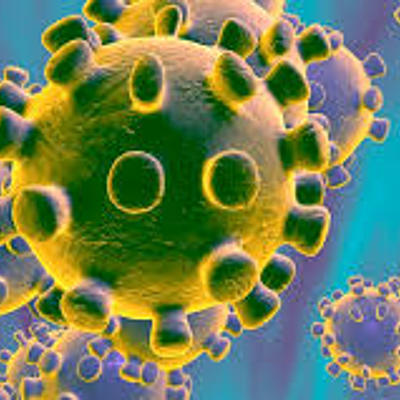 Timeline: LA EVOLUCIÓN DEL COVID-19 EN EL CUERPO HUMANO