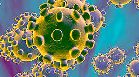 Timeline: LA EVOLUCIÓN DEL COVID-19 EN EL CUERPO HUMANO