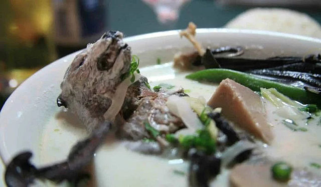 Confirmado: los murciélagos son el origen reservorio del virus