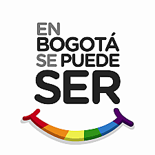 Crea Consejo Consultivo LGBTI en el Distrito Capital