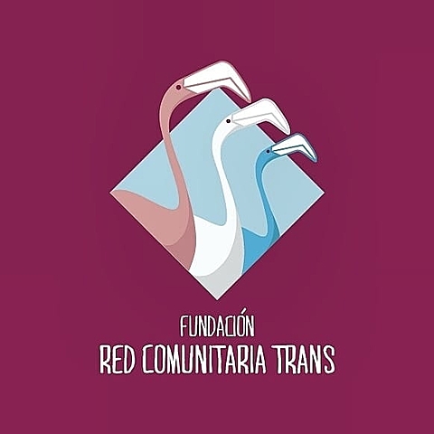 Creación Red Comunitaria Trans