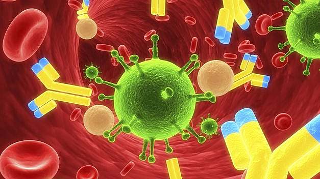 Anticuerpos contra el virus