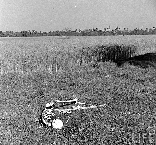 Gran Hambruna de Bengala
