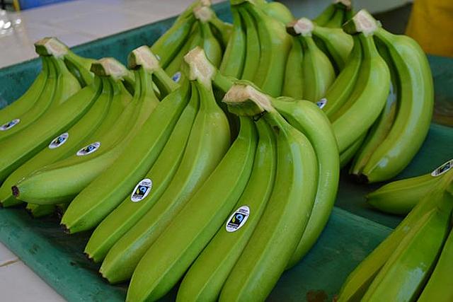 Recepción Materia Prima