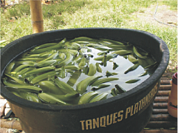 Limpieza y Desinfección