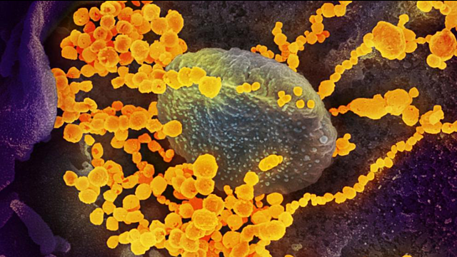 Periodo de incubación