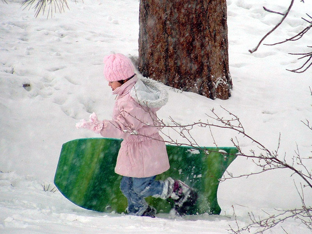 Sledding Accident- Ouch!