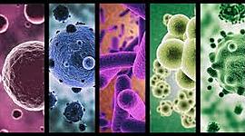 Timeline: Historia de los microorganismos