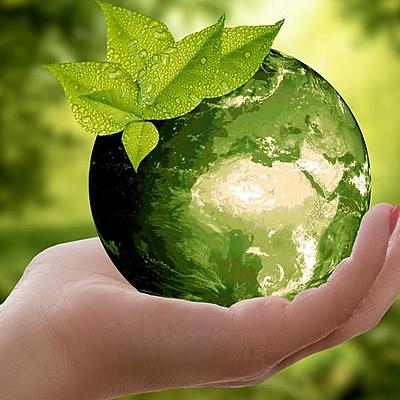 Timeline: Хронологія розвитку екології