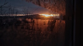 Timeline: Разные фотографии