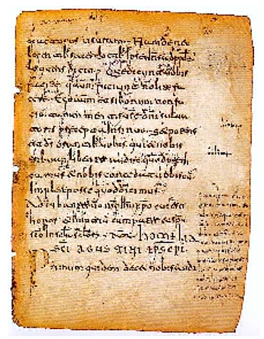 Las glosas silenses y emilianenses