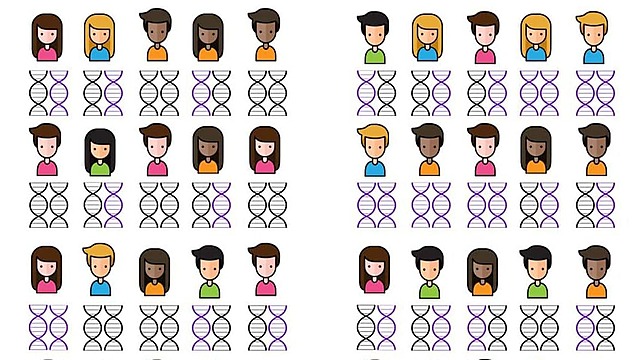 Col·laboració en la CIDR