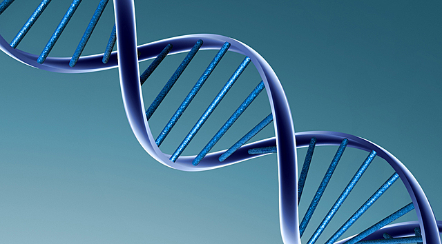 Anunci del tercer pla