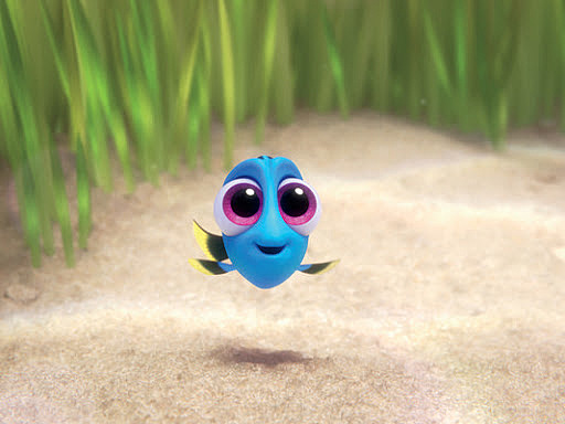 La piccola Dory