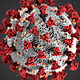 Coronavirus imagen 1