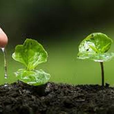 Timeline: Turismo sustentable