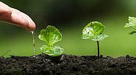 Timeline: Turismo sustentable