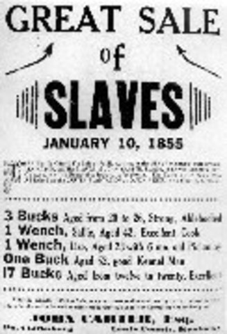 Ratification of the 13th Amendment