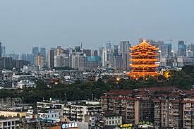 origen de la enfermedad