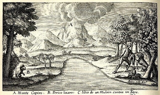 LITERATURA Y ARTE EN LA ÉPOCA HISPÁNICA