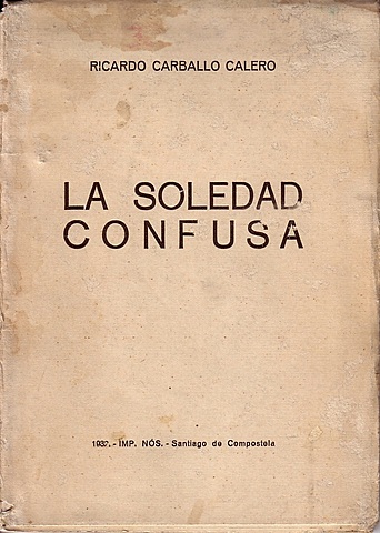 La soledad confusa