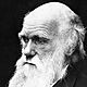 Charles darwin631