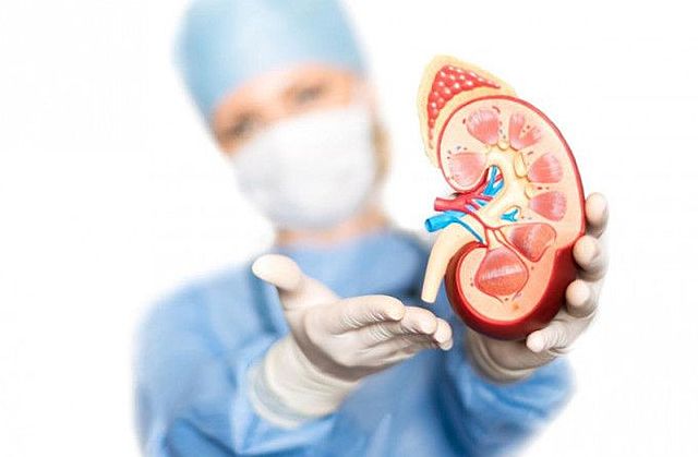 Primer trasplante de riñon