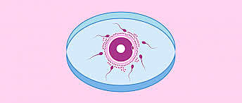 Primer nacimiento por fivet