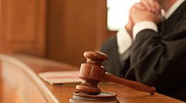 Timeline: Juicio de Amparo