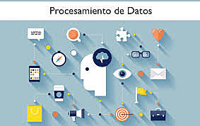 Análisis de los datos