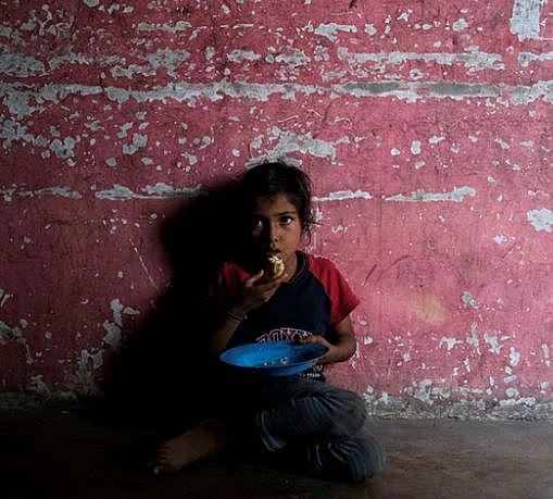 Reforzar el intestino para revertir la desnutrición