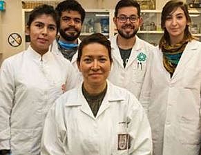 Eliminan virus del Papiloma Humano