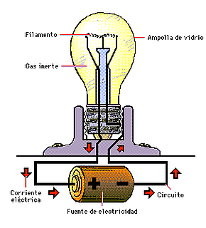 FÍSICA CUÁNTICA EN CAMPOS