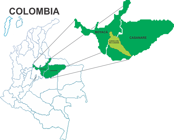 Yacimientos de Cusiana - Cupiagua