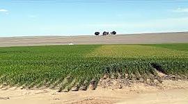 Timeline: PEORES EPIDEMIAS EN FITOPATOLOGÍA- Aileen Guala