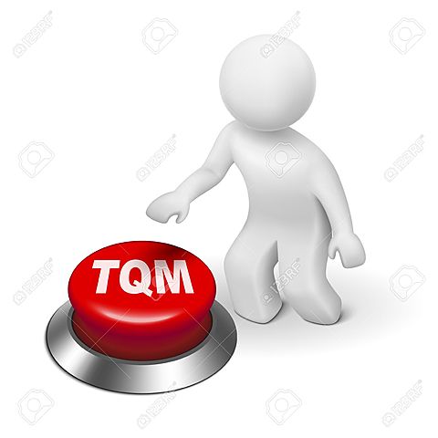 Desilusiones y críticas - TQM