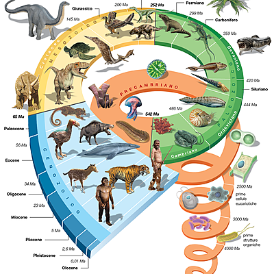Timeline: Le ere geologiche