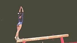 Timeline: Gimnasia Artística